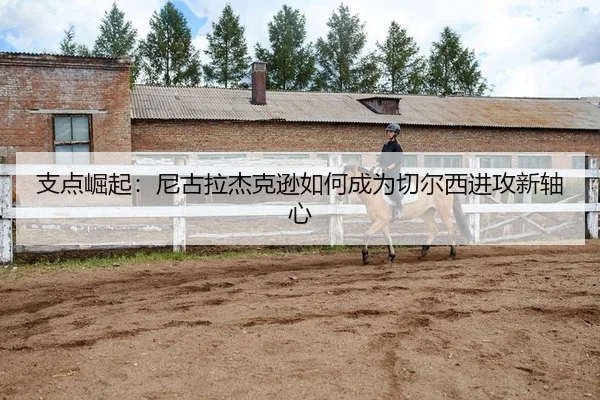 zhi-dian-jue-qi-ni-gu-la-jie-ke-xun-ru-he-cheng-wei-qie-er-xi-jin-gong-xin-zhou-xin-2-750.jpg